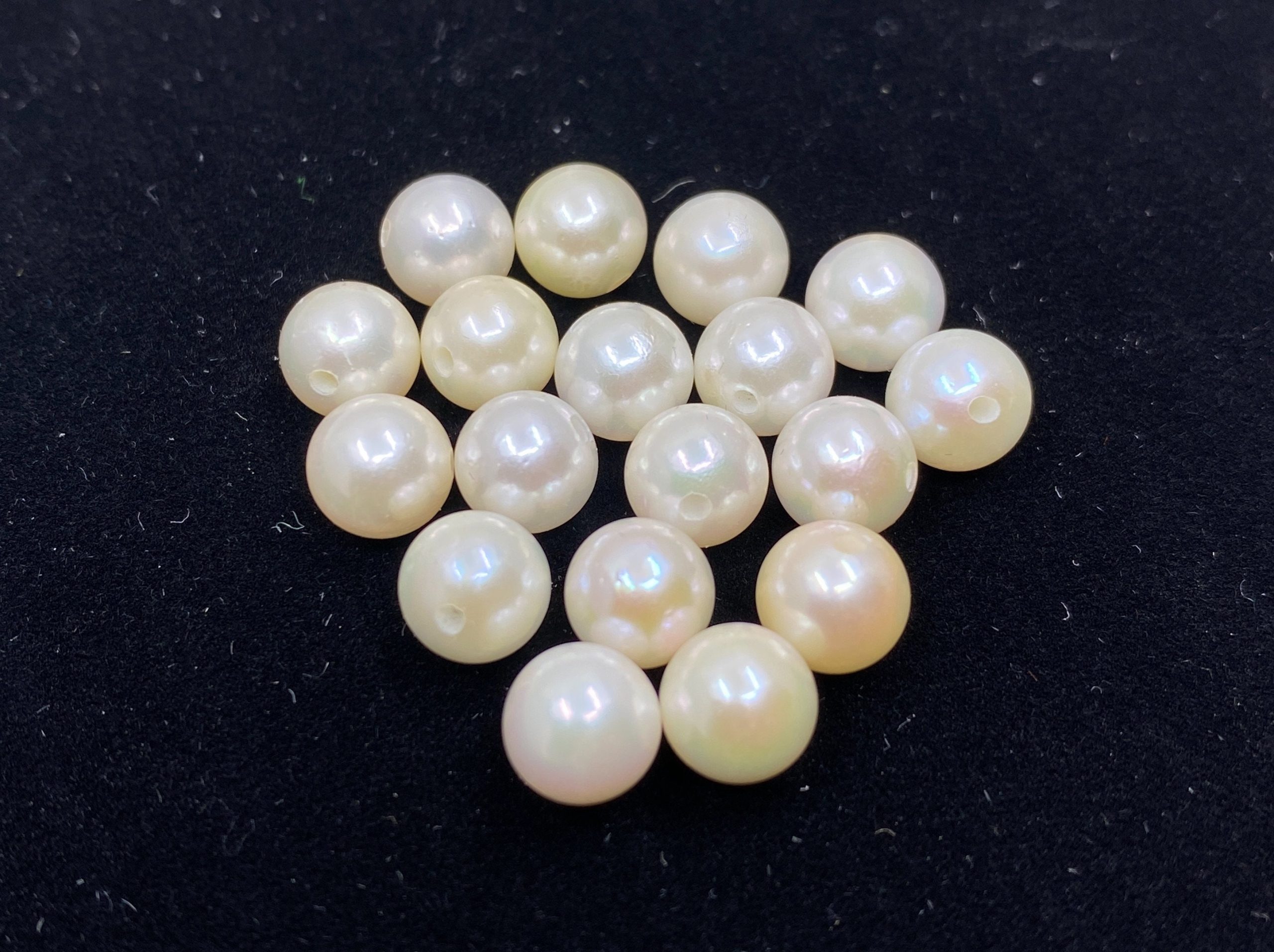 il fullxfull.3140868202 hqco scaled White Cultured Pearls (Japan) Full Round Half Drilled Loose Beads in Sizes From 2mm to 8.5mm For Jewellery Making (NOT freshwater pearls)