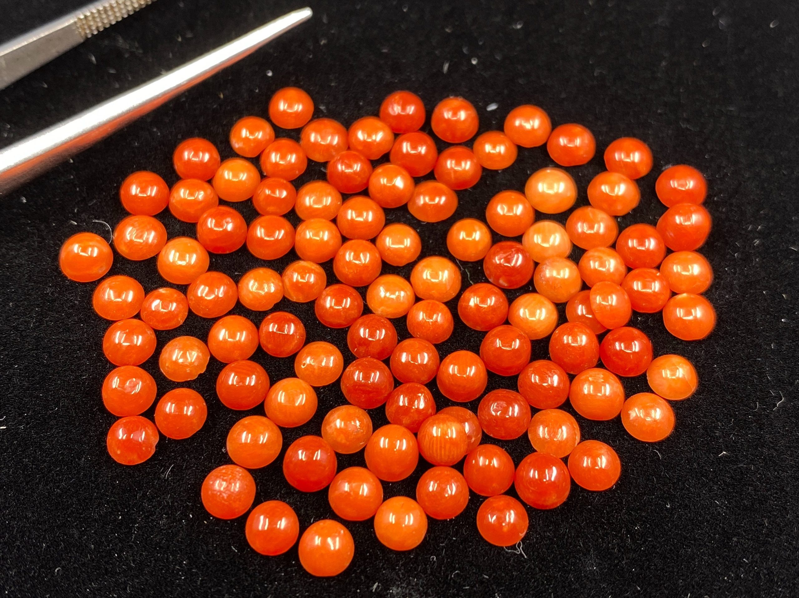 il fullxfull.3166794577 osxh scaled Red Coral Round Shape Cabochon Loose Gemstones in Assorted Sizes from 2.5mm to 6.3mm for Jewellery Making